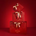 Customized Printed Red Christmas Paper Bags with Ribbon Bow