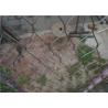 Buy cheap 1.2mm Diamond Metal Mesh / 316L Rope Mesh Green Wall 200mm from wholesalers