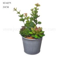 Buy cheap Elegant Artificial Succulent Arrangement Bulk Production Vibrant Color product