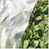 Buy cheap Landscape 20gsm Non Woven Plastic Mulching Film from wholesalers