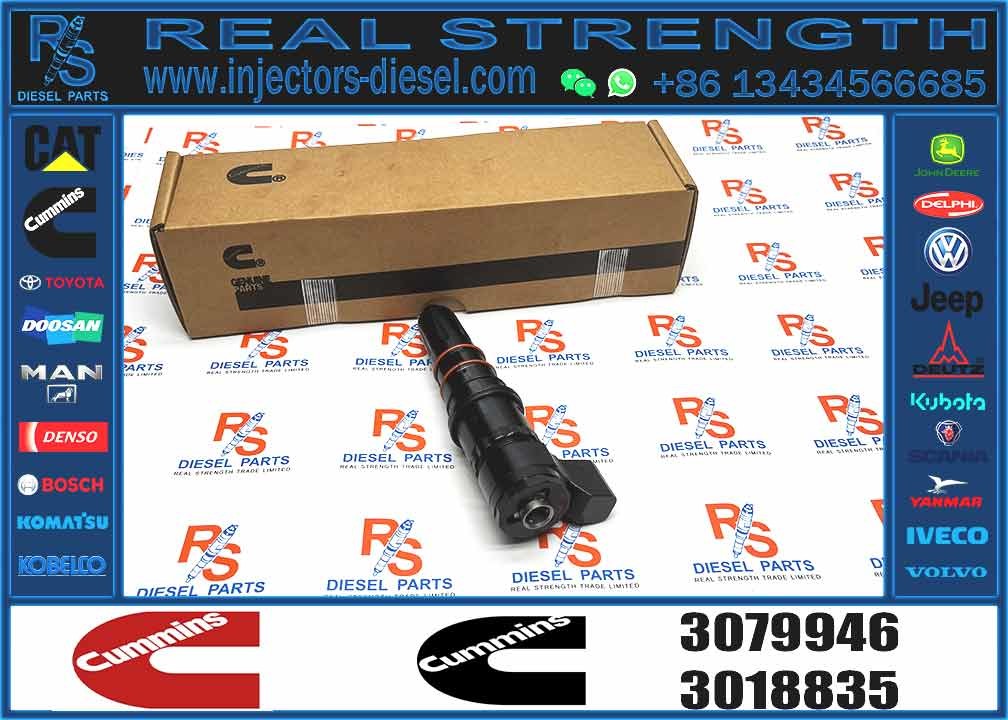 Fuel injector kit NT855 3079946 3079947 fuel kit injector fuel injector seal repair kit