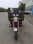 800W 3 Wheel Cargo Motorcycle