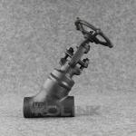 Forged Steel Y Globe Valve Oblique Stop Valve Regular Port Socket Welded