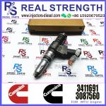 N14 Series Engine Common Rail Fuel Injector 4307516 3411691 3087560 3411765 for