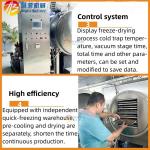High Capacity Industrial Lyophilizer Freeze Dryer for Food Fruit Vegetable Meat