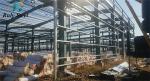 H Section Steel Structure Building Pre Engineered High Quality Steel Prefab