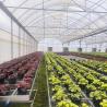 Buy cheap Large Poly Tunnel Agricultural Multi-span PE Film Flower Custom Greenhouse from wholesalers