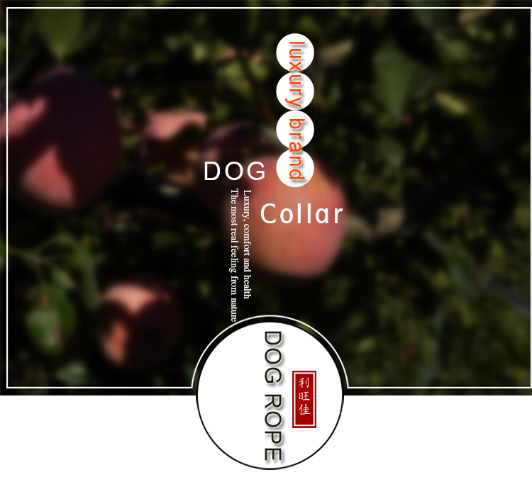 C519 Wholesale Custom Logo Luxury Hand Made Decorative Velvet Dog Collars Soft ,Adjustable Collars for Dog