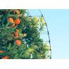 Buy cheap 3/4'' Mesh Size Insect Mesh Netting Anti Bird Net Tough Deer Fence 2 Meter Width from wholesalers