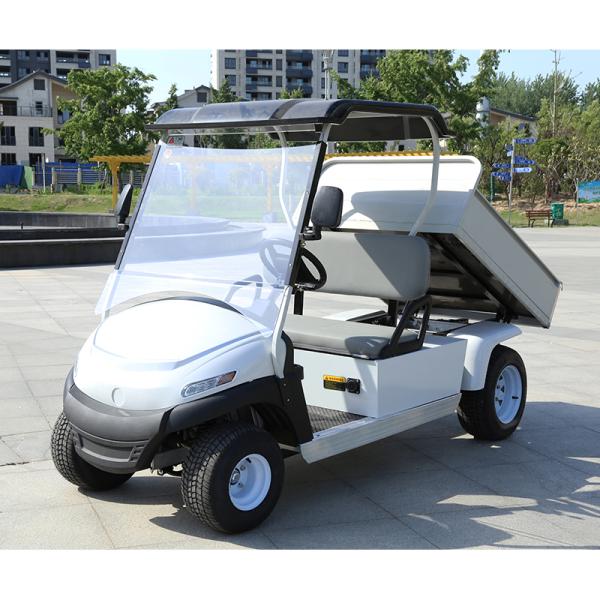 Support OEM Electric Golf Cart with Rear Basket Bed and 2 4 6 Passenger Utility Vehicle Buggy Minimum Grand Clearance 150-200mm