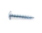 Truss Head Tapping Screw Fasteners JIS B 1122(AAT4) Cross Recessed Nickel