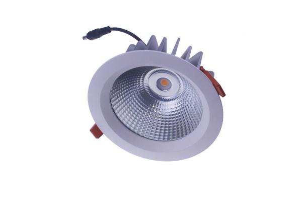 Quality Outdoor IP65 Waterproof Led Down Lights 4&quot;@16W CRI&gt;85 , Clear / Milk Glass Cover for sale