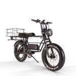 20 Inch Folding Fat Tire Electric Bike 1000w 750 Watt 500w 9.6Ah 40kmh Two