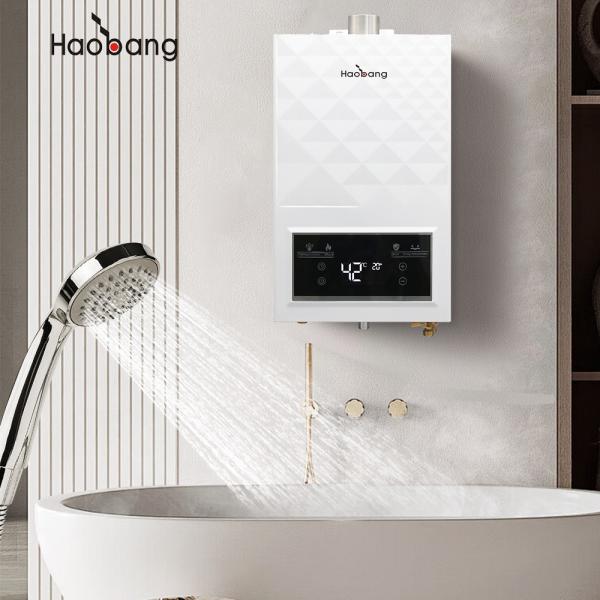Buy cheap Affordable And Durable Forced Exhaust Gas Water Heater 10L Capacity 60MM Flue Dimension from wholesalers
