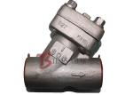 Forged Y Type Strainer Stainless Steel A182 F316L 800LB SS316 Screen Socket Weld