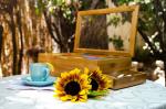 organic bamboo tea box for sale with high quality and competitive price