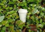 Coffee 100% Compostable Paper Cups Customized Logo For Fast Food Restaurants