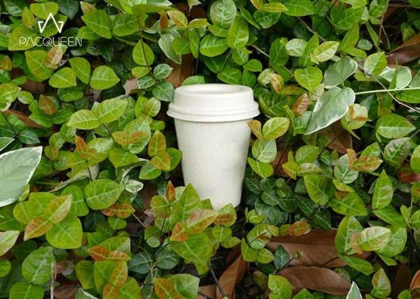 Buy cheap Coffee 100% Compostable Paper Cups Customized Logo For Fast Food Restaurants from wholesalers