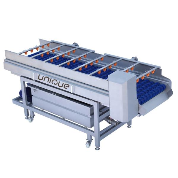 Buy cheap Mango Brush Cleaning Machine for Pear Apple Carrot Mud Cleaning 3000*1250*1350 mm from wholesalers