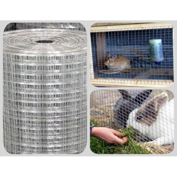 Rustproof 48x100 Hardware Cloth Roll Galvanised Wire Mesh Roll For Rabbit Cage