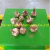 Buy cheap garlic root and stem cutting machine, fresh garlic root cutter from wholesalers