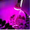 Buy cheap Aluminum 6W LED Flowering Grow Lights 50000H 85V-265V High Luminous Efficiency from wholesalers