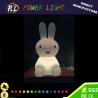 Buy cheap LED Gift Light Home Decoration Color Changing LED Light Toy from wholesalers