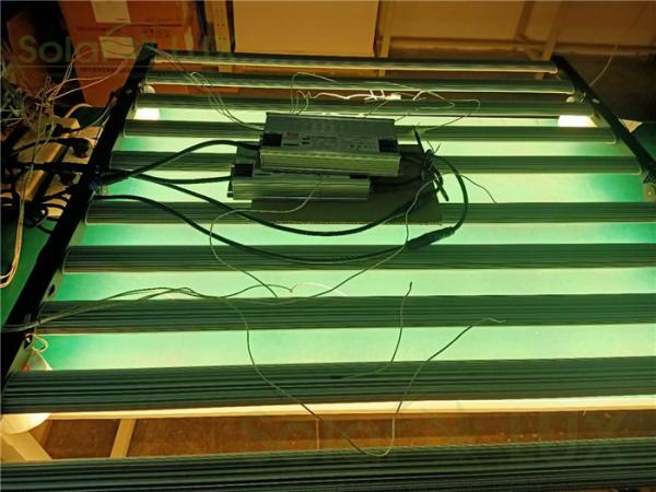 Buy cheap Hydroponic 10 Light Strips 1000W LED Grow Light Kit from wholesalers
