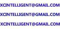 Xinchang Intelligent Electronics Co.,Ltd