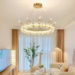 Circle chandelier for indoor home decoration kids room ring chandelier(WH-MI-441