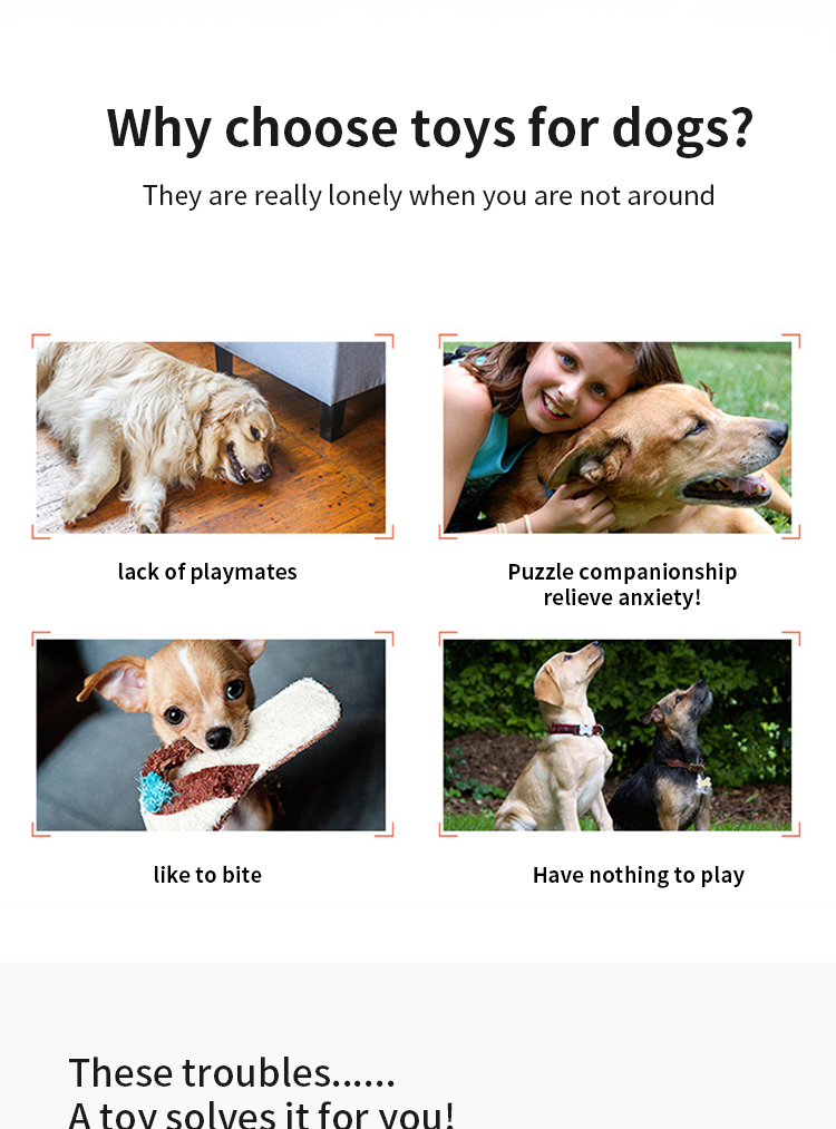 Dog Toys Custom Juguetes para Mascotas Pet Supplies Luxury Pet Accessories