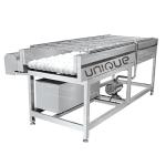 Mango Brush Cleaning Machine for Pear Apple Carrot Mud Cleaning 3000*1250*1350