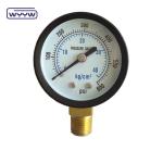 High quality with competitive price CE EN837-1 water air 1psi (0 - 600 Psi) Npt