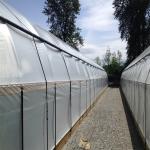 Aluminum Alloy Frame Black And White Film Auto Light Dep Hoop House Width 8m 9m
