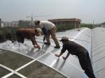 Multi Span Commercial Agricultural Smart Venlo PC Greenhouse 4.0-8.0M Height