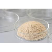 Buy cheap Good Mid Solubility Temp Amylase Used In Baking Fermentation Industry product