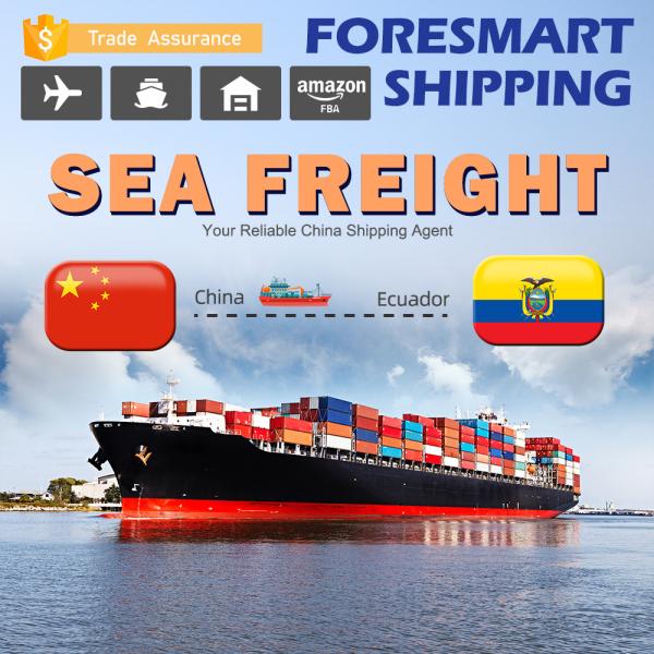 Buy cheap China To Ecuador International Sea Freight Services , Sea Container Shipping from wholesalers