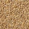 Buy cheap CCD Optical Barley Wheat Color Sorting Machine 32 Channels from wholesalers