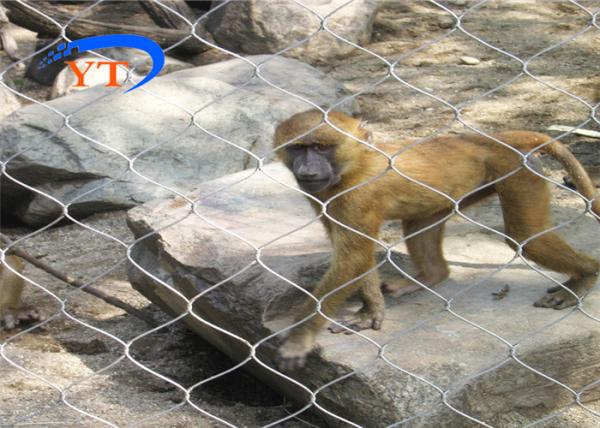 Buy cheap Diamond Architectural 3.0mm Stainless Steel Webnet Knotted Zoo Fence from wholesalers