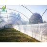 Buy cheap Commercial Single Span Poly Tunnel Greenhouse For Tomatoes from wholesalers