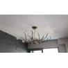 Buy cheap Living room Bedroom Wooden Tree Branch decorative lustre pendant home Chandelier lighting( WH-CI-107) from wholesalers