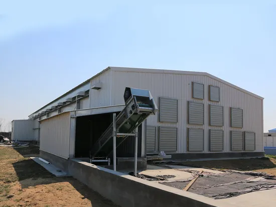 Modern Economical Steel Chicken Farm Customized Color Graphic Design