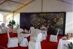 Tent for Events and Parties PVC Party Tent Fire Retardant Clear Span Marquee