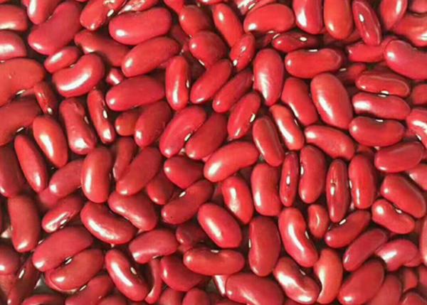 Buy cheap Red Kidney Beans Exported To Yemen from wholesalers