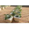 Buy cheap ODM Beige 5 Gallon Bucket Hydroponic System Cucumbers Ebb And Flow Buckets from wholesalers