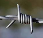 Hot sell high quality 14x14 16x14 galvanized barbed wire
