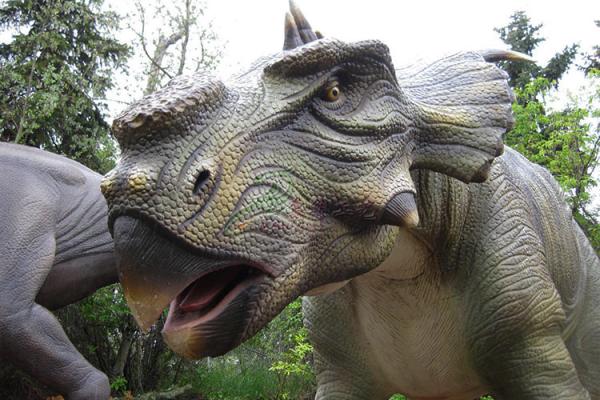 Quality Lifesize Pachyrginosaurus Realistic Animatronic Dinosaur For Kids for sale