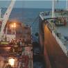 Buy cheap Natural Rubber Heavy Duty Flexible Marine Oil Hose from wholesalers