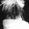 Buy cheap A Grade White Polyester Fiber For Spinning Low Melting Artificial PSF from wholesalers