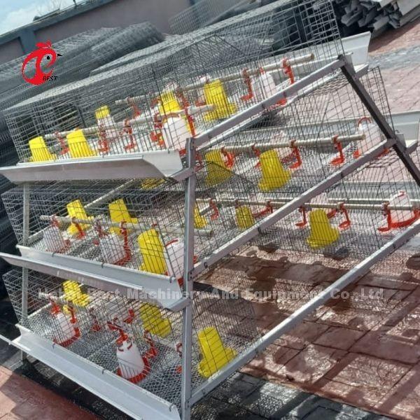 Buy cheap Hot Galvanized Baby Chicken Battery Cage For Sale In Nigeria Office Iris from wholesalers